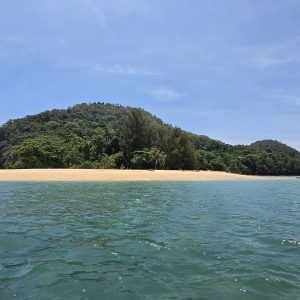 SATANG ISLAND DAY TOUR : DOLPHIN, SNORKELLING & TURTLE CONSERVATION