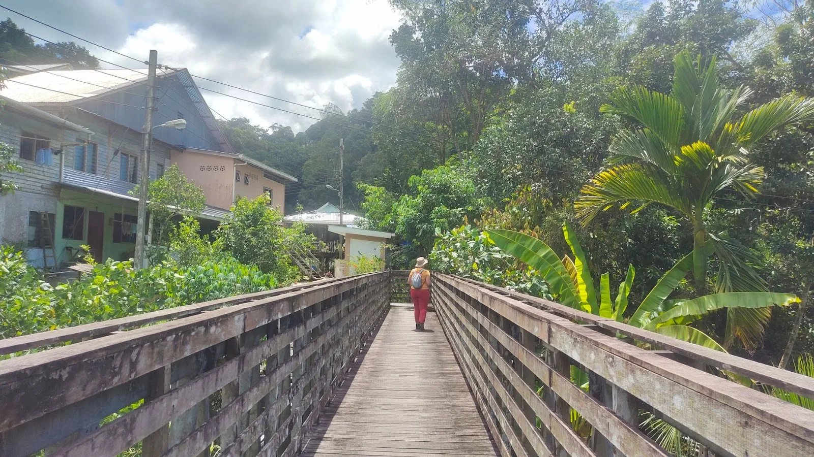 SEMENGGOH ORANGUTAN & ANNAH RAIS LONGHOUSE - Image 3