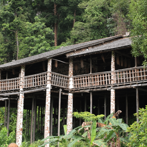 SARAWAK CULTURAL VILLAGE