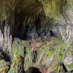 BUDGET TRAVEL – BAU DISCOVERY