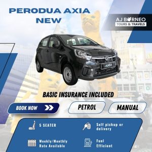 PERODUA AXIA MANUAL (NEW)