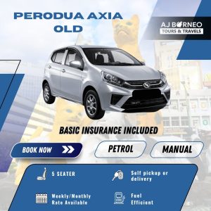 PERODUA AXIA MANUAL (OLD)