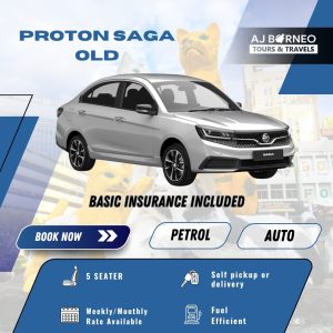 PROTON SAGA