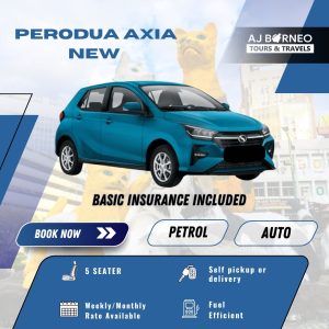 PERODUA AXIA AUTO (NEW)