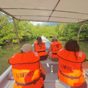 MANGROVE WILDLIFE & FIREFLIES