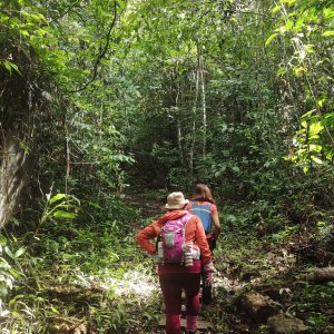 GUNUNG GADING RAFFLESIA
