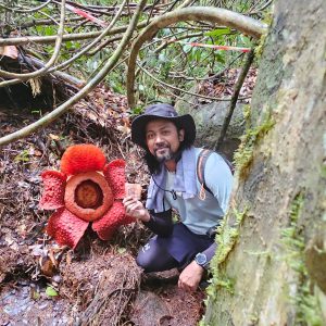 GUNUNG GADING RAFFLESIA
