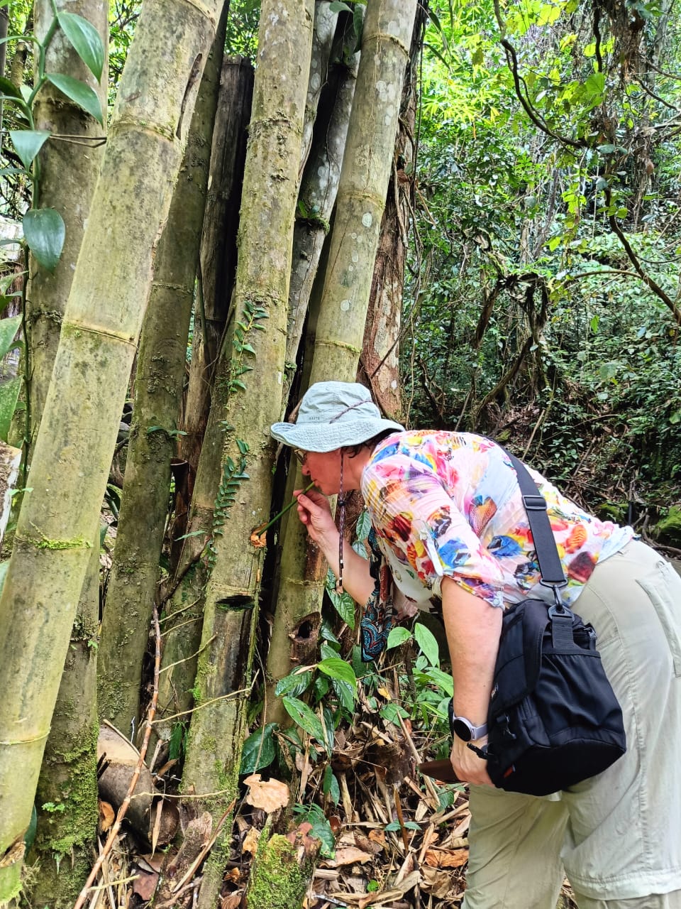 2D1N BENGOH VALLEY ADVENTURE : WATERFALLS, JURASSIC RAINFOREST & MOUNTAIN HOMESTAY - Image 11