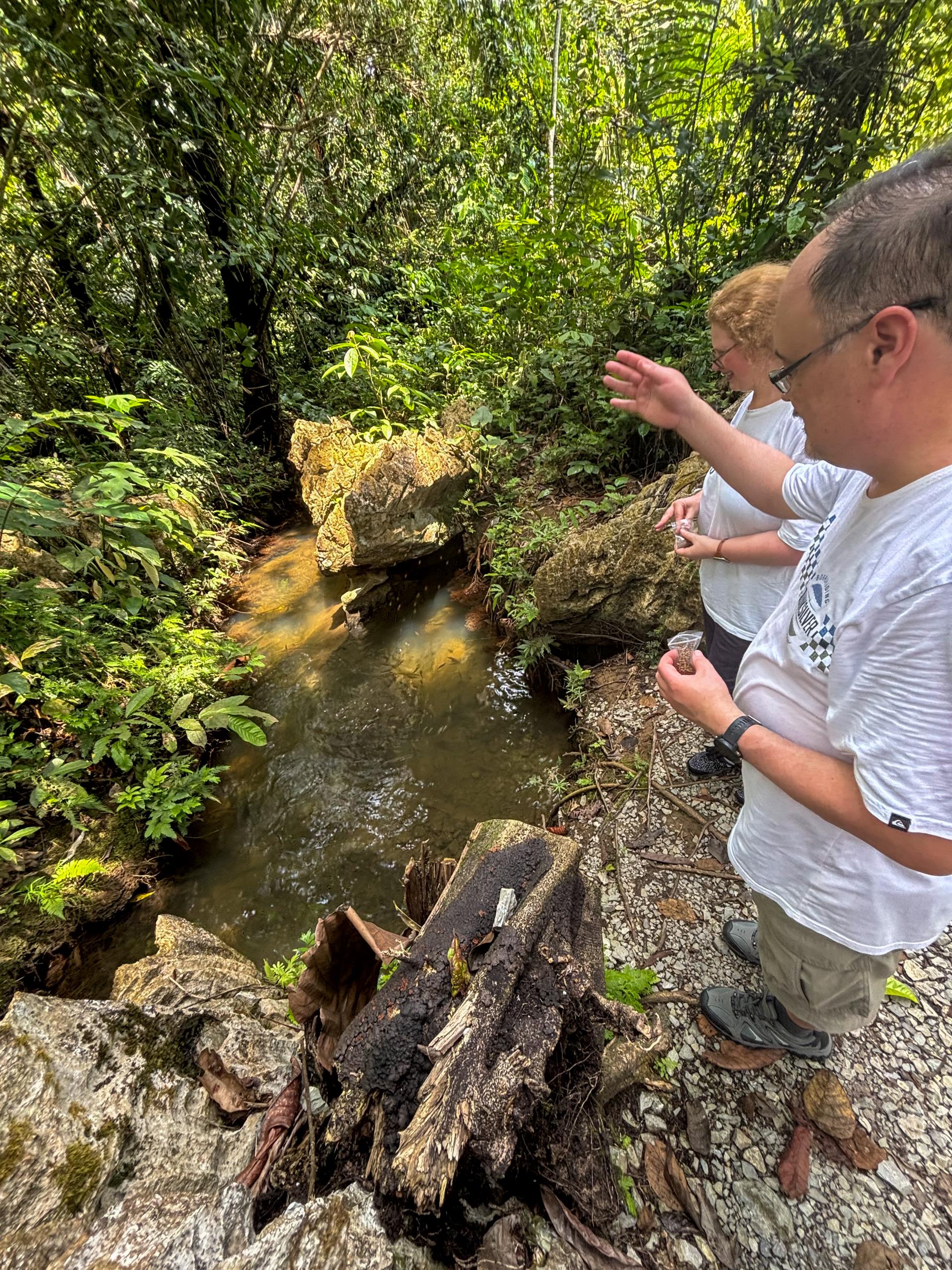 KUCHING PRIVATE DRIVER - Image 4