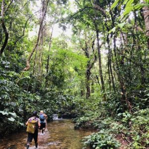 3D2N BATANG AI IBAN LONGHOUSE & RAINFOREST ADVENTURE
