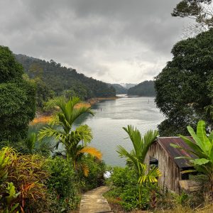 BUDGET TRAVEL – 3D2N BATANG AI IBAN LONGHOUSE