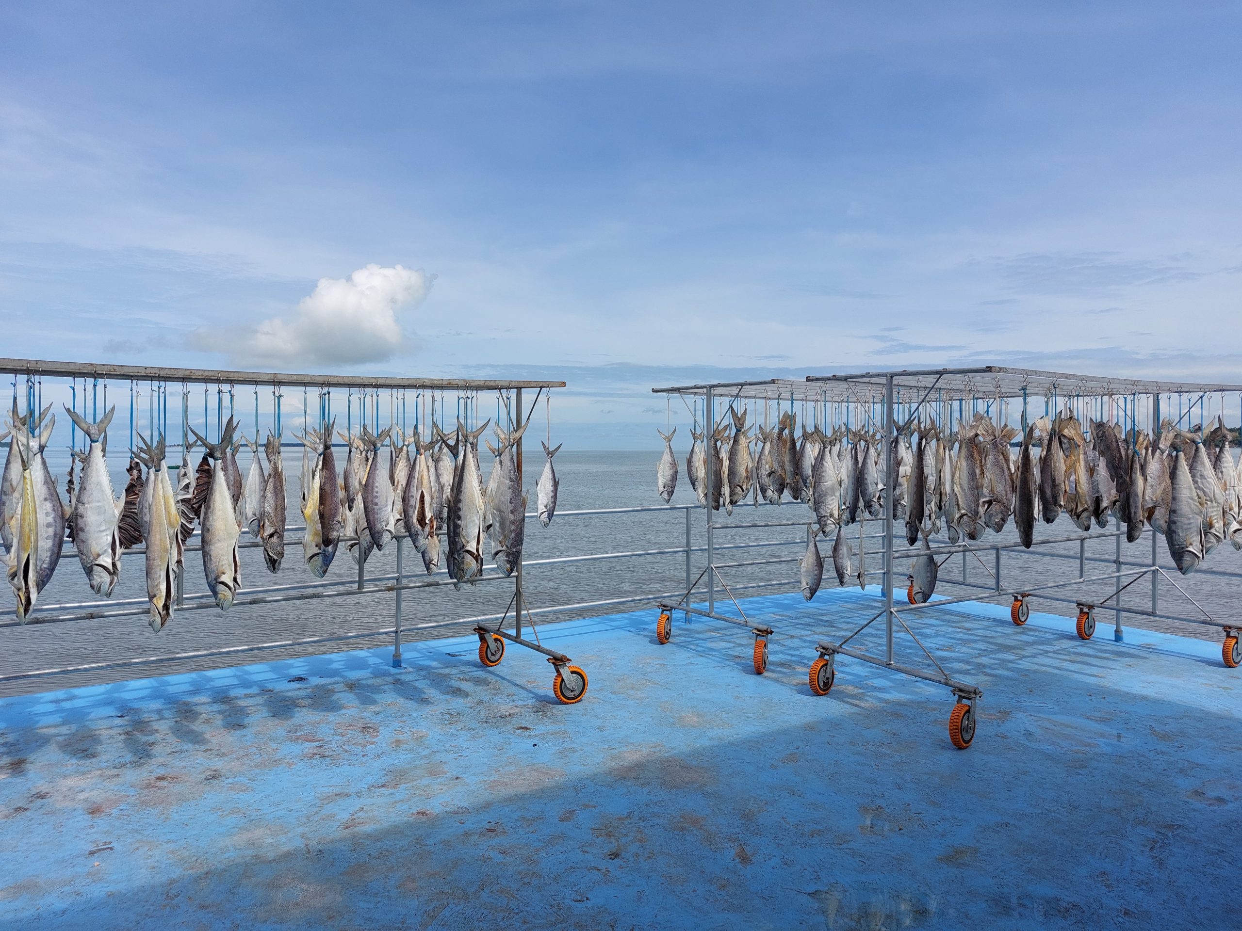 SANDAKAN DISCOVERY - Image 2