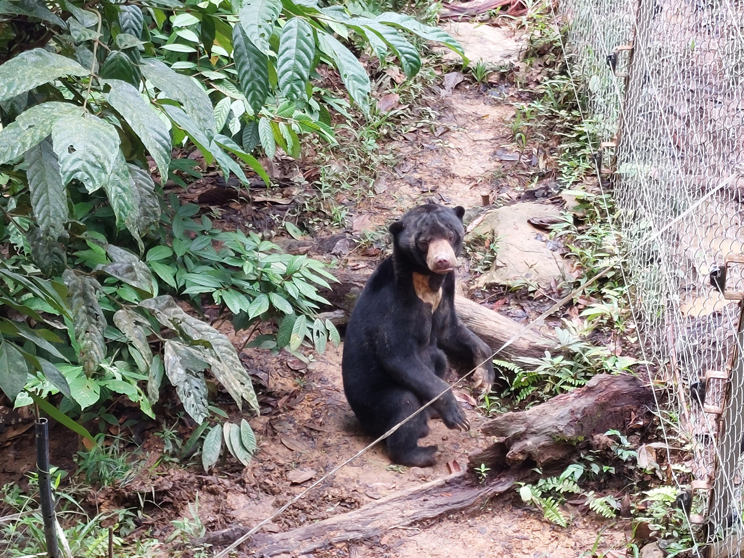 SANDAKAN DISCOVERY - Image 7