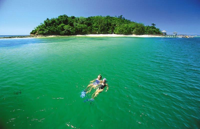 4D3N BEAUTY OF NORTH BORNEO - Image 3