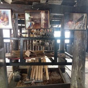 BUDGET TRAVEL – ORANGUTAN & LONGHOUSE