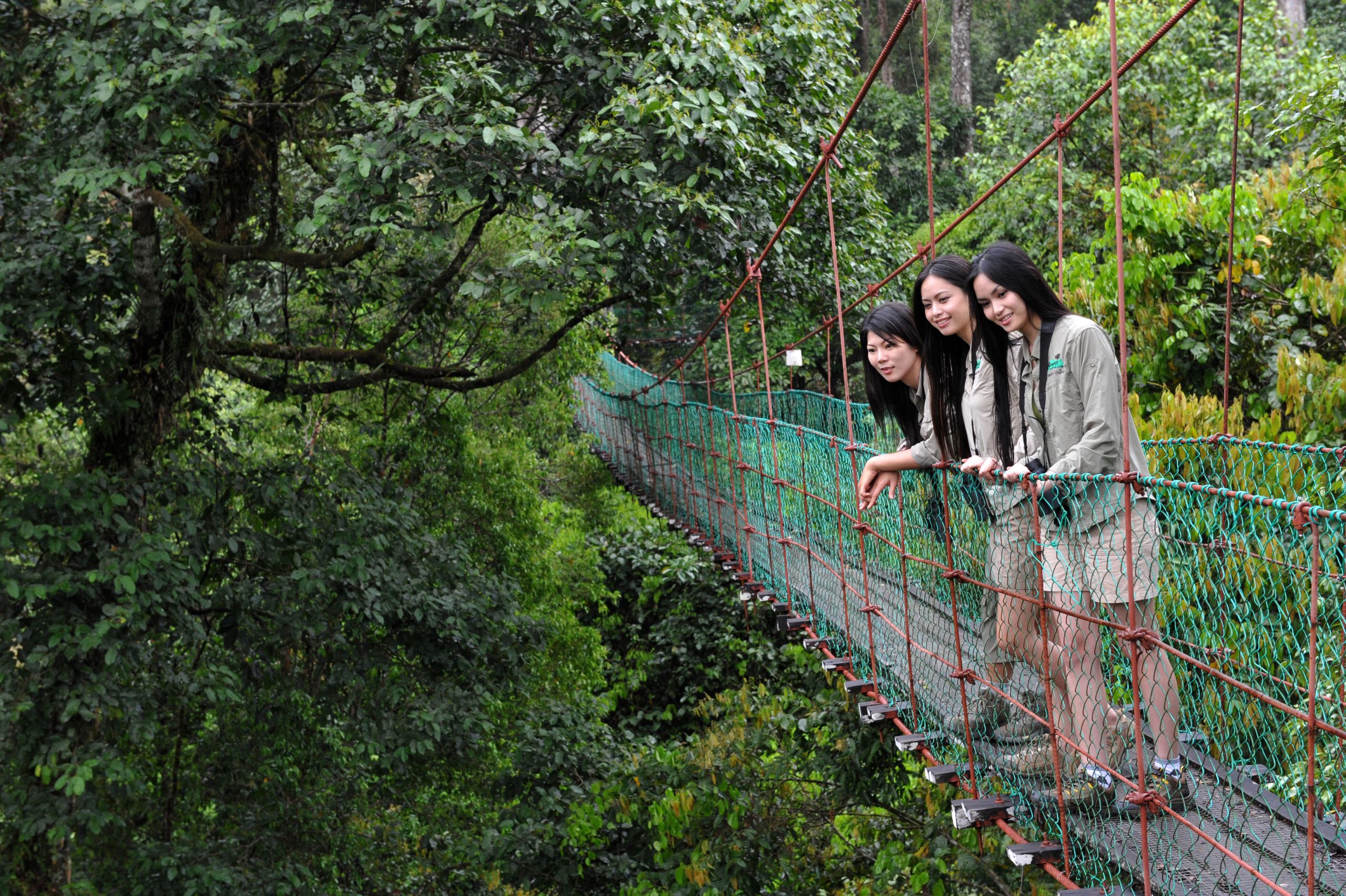 3D2N RAINFOREST LODGE EXPERIENCE - Image 3