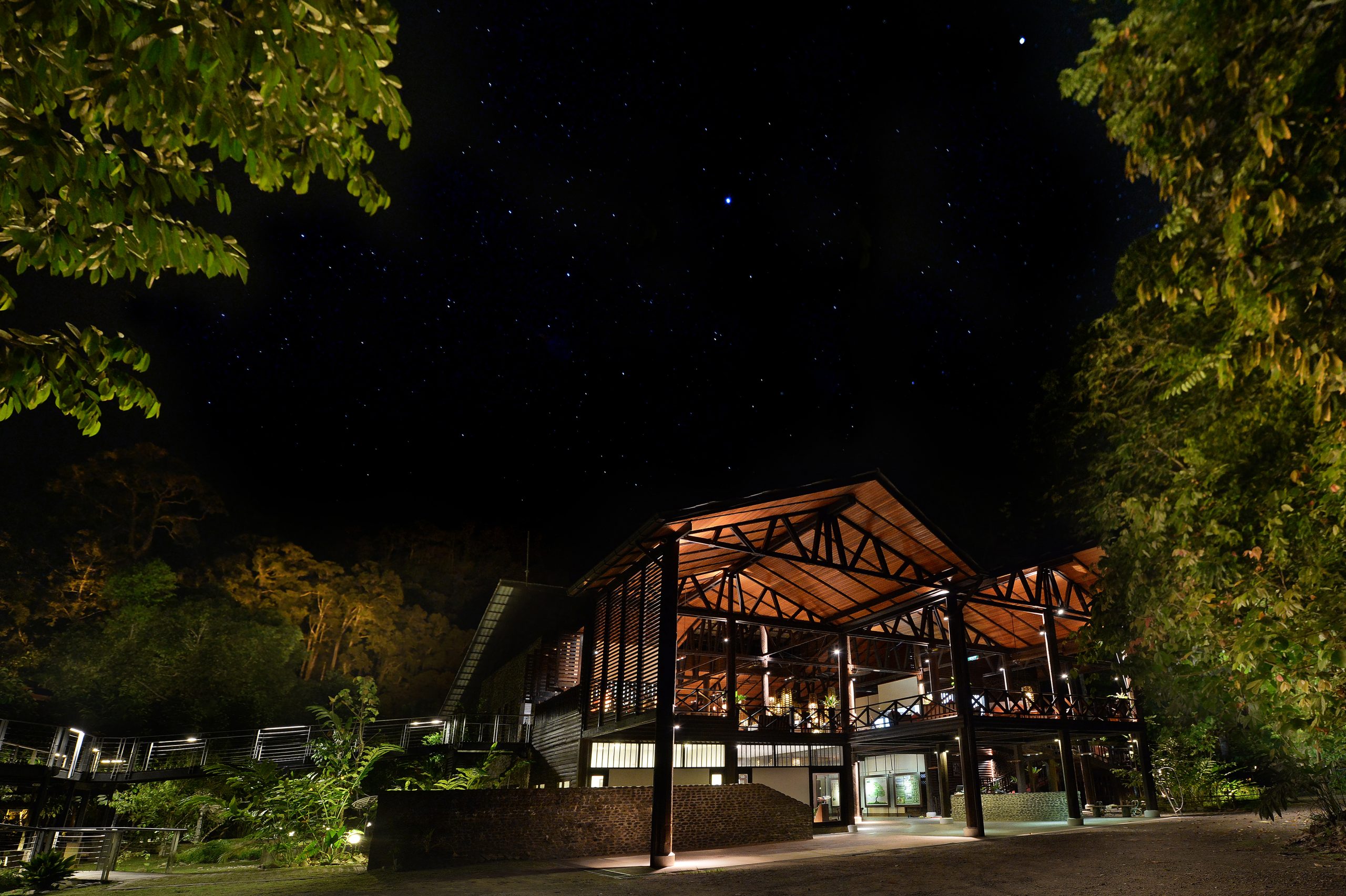 3D2N RAINFOREST LODGE EXPERIENCE - Image 5