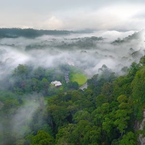 5D4N EAST COAST ADVENTURE : SEPILOK, KINABATANGAN, GOMANTONG & DANUM VALLEY