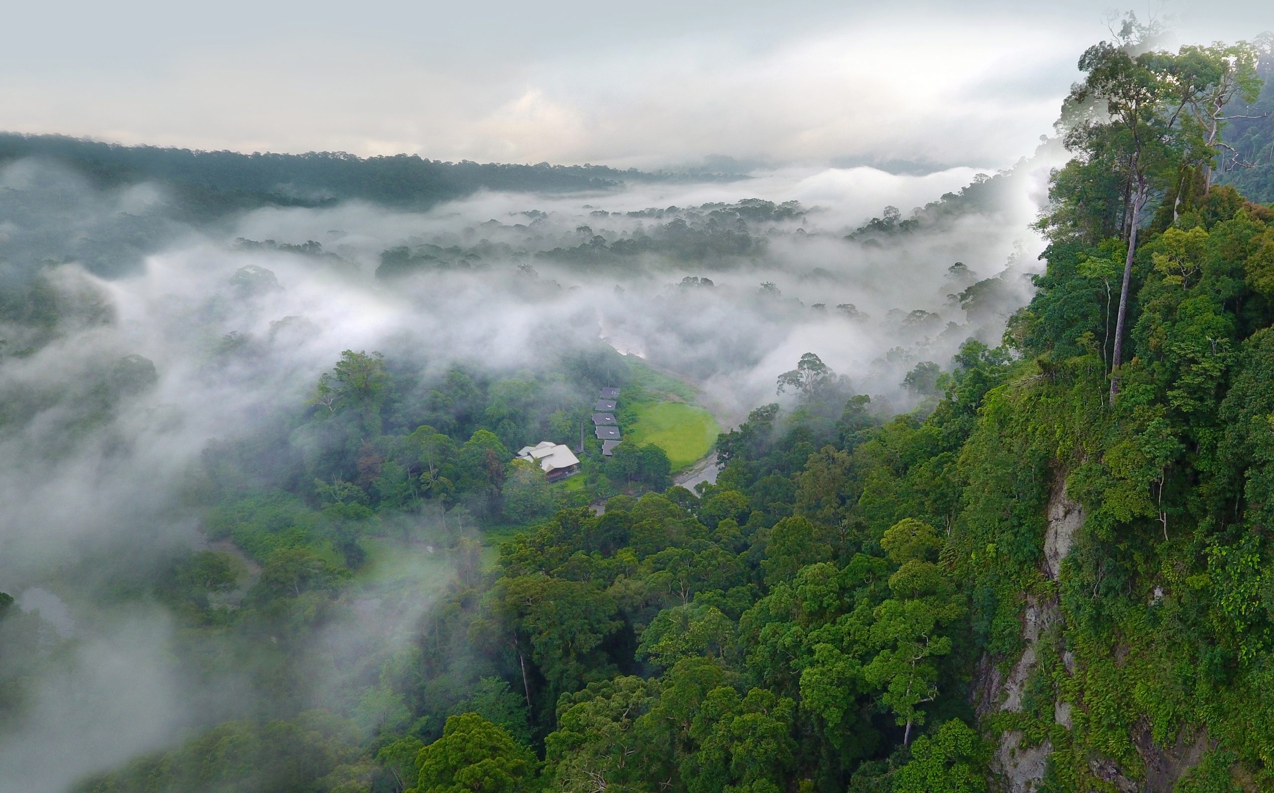 3D2N RAINFOREST LODGE EXPERIENCE - Image 9