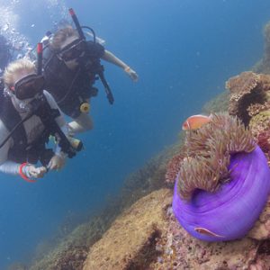 GAYA UNDERWATER ADVENTURE