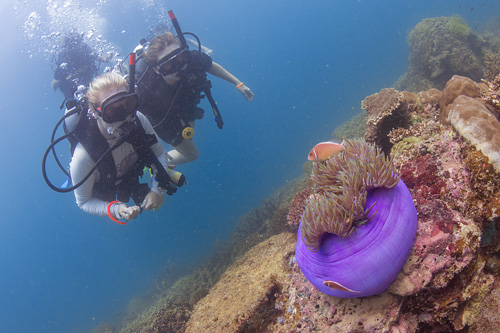 GAYA UNDERWATER ADVENTURE - Image 2
