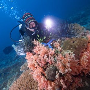 GAYA UNDERWATER ADVENTURE