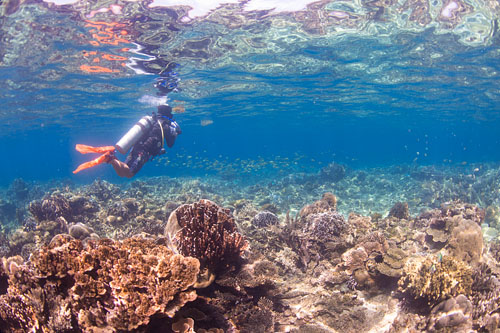 GAYA UNDERWATER ADVENTURE - Image 5
