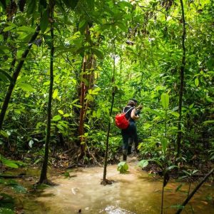 4D3N SANDAKAN ADVENTURE : WILDLIFE, RAINFOREST & CAVE