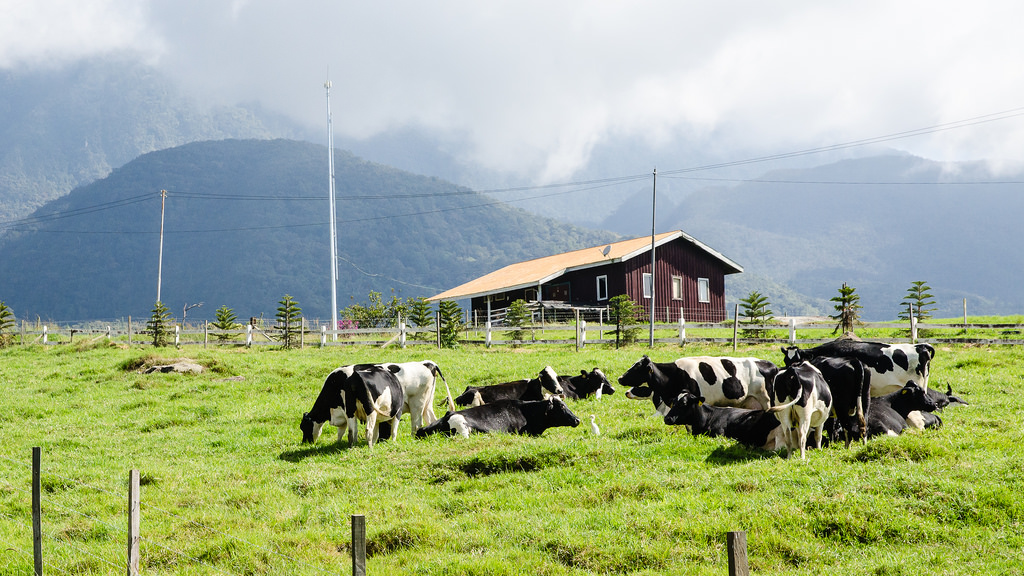 4D3N BEAUTY OF NORTH BORNEO