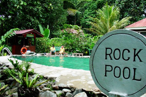 4D3N BEAUTY OF NORTH BORNEO - Image 2