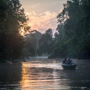 4D3N SANDAKAN NATURE & WILDLIFE