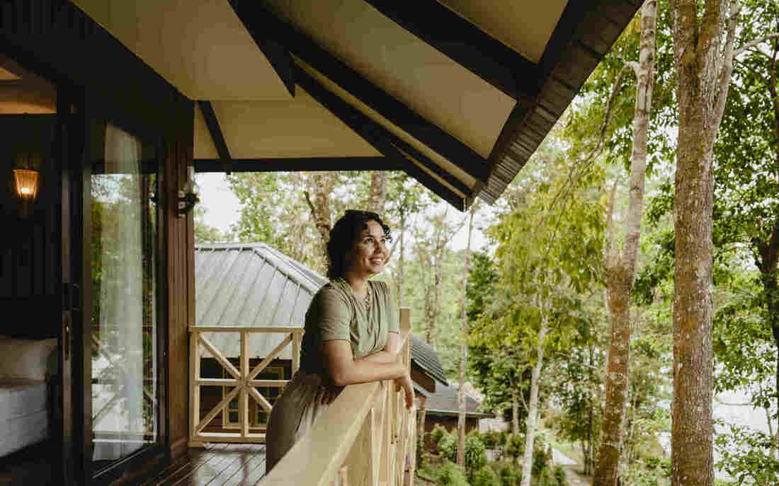 3D2N KINABATANGAN SAFARI - Image 3