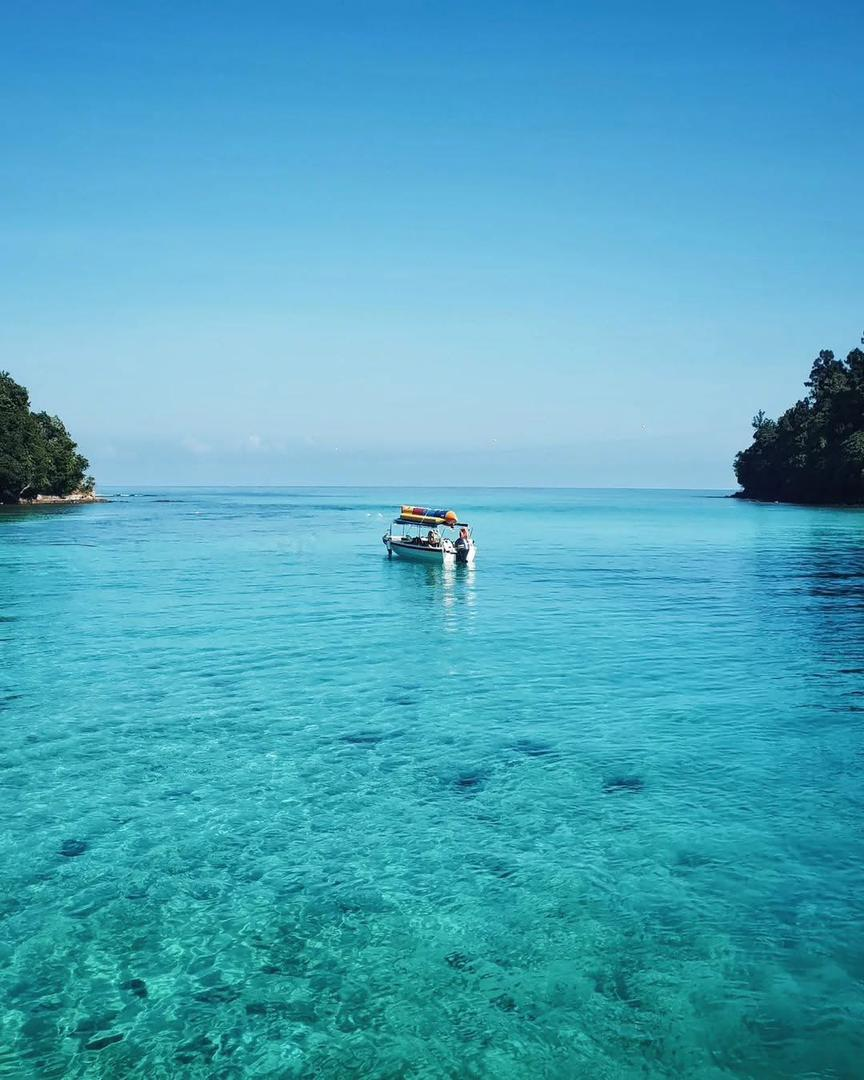 4D3N BEAUTY OF NORTH BORNEO - Image 4