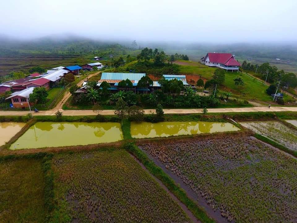 3D2N ESSENCE OF BARIO HIGHLANDS - Image 6