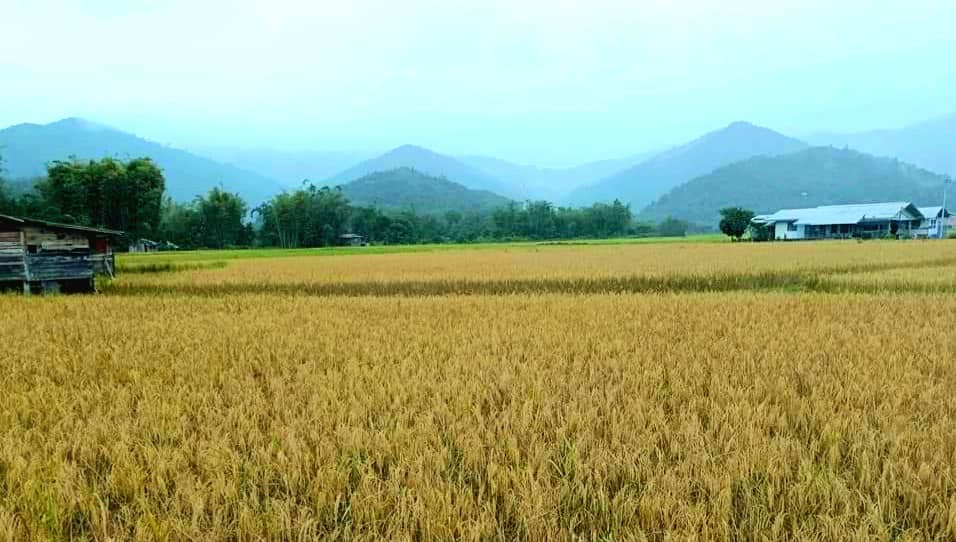 3D2N ESSENCE OF BARIO HIGHLANDS