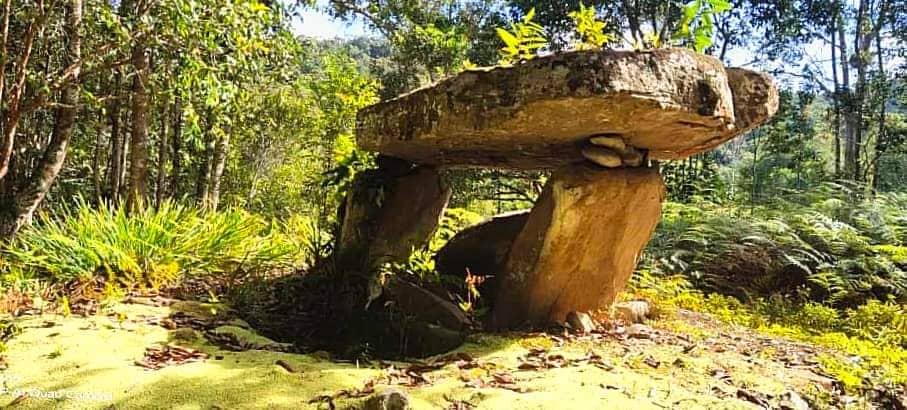 3D2N ESSENCE OF BARIO HIGHLANDS - Image 5