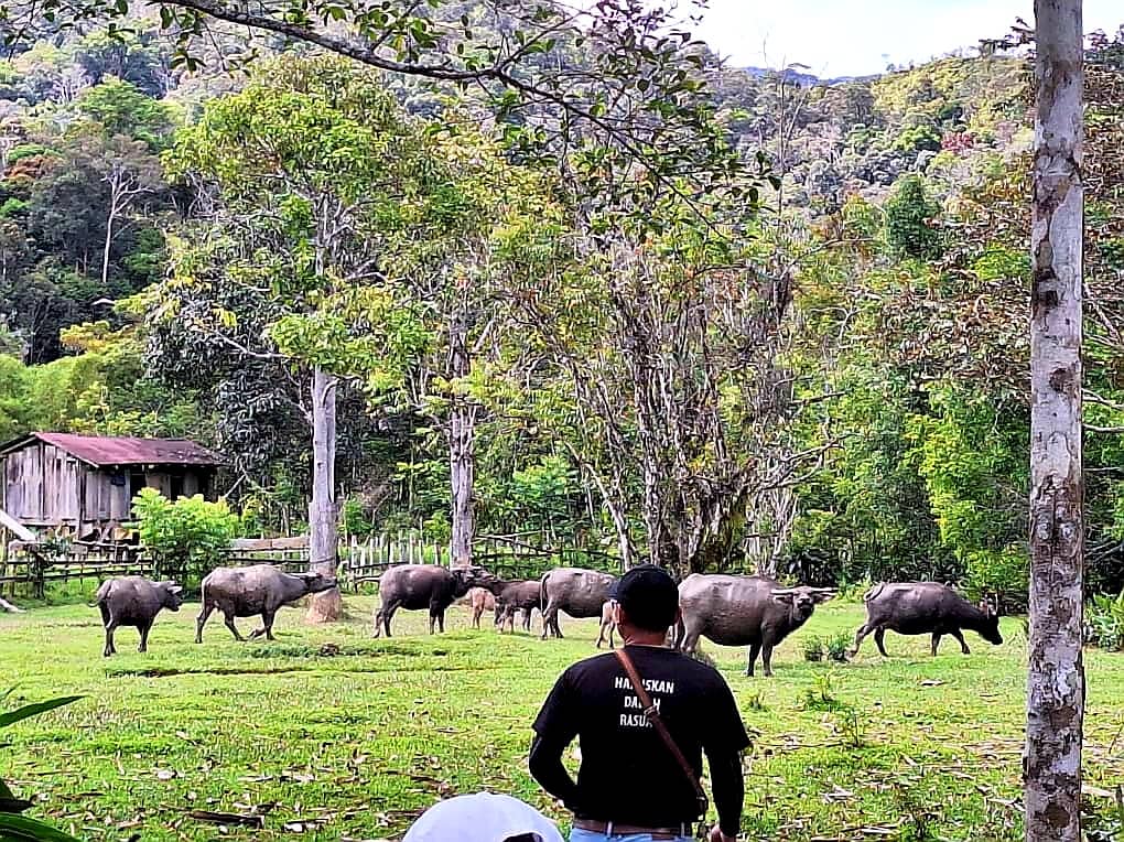 3D2N ESSENCE OF BARIO HIGHLANDS - Image 2