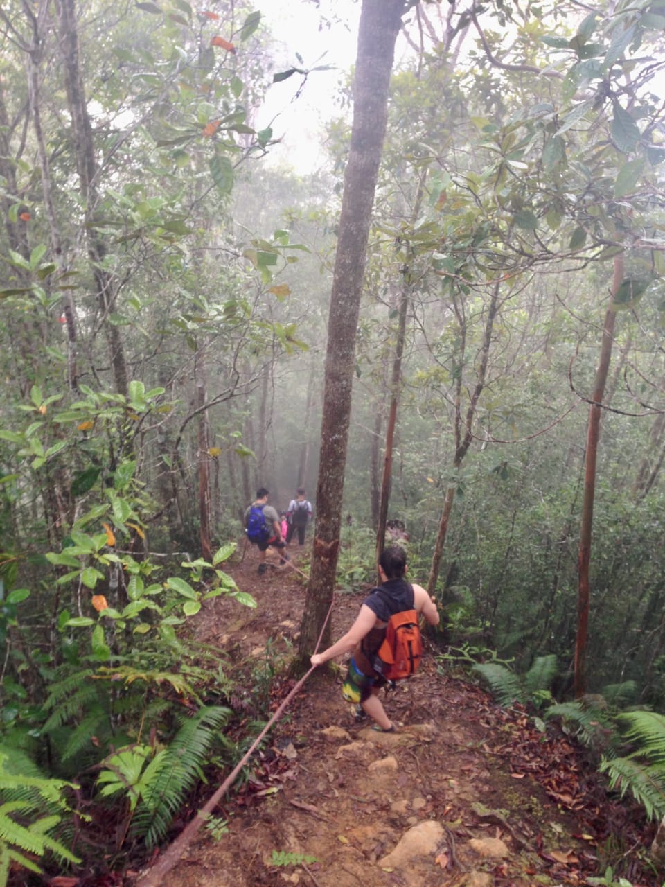 3D2N ESSENCE OF BARIO HIGHLANDS - Image 8