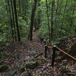 BUKIT PATOI ADVENTURE