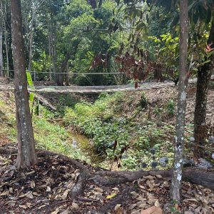 BORNEO CULTURAL VILLAGE DAY TOUR