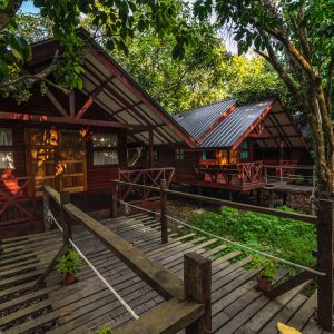 3D2N SEPILOK & RIVER ADVENTURE