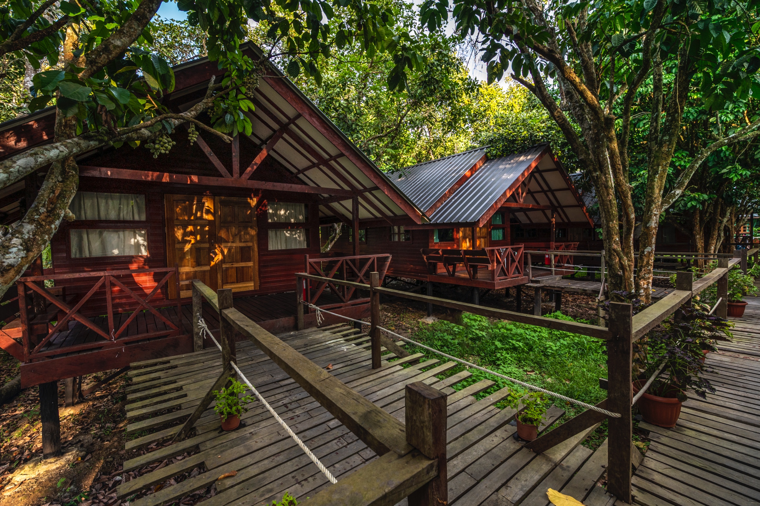 3D2N SEPILOK & RIVER ADVENTURE - Image 2