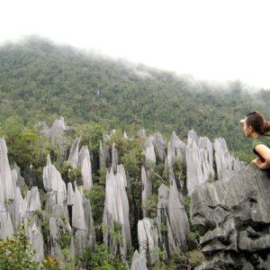 4D3N ULTIMATE MULU EXPERIENCE