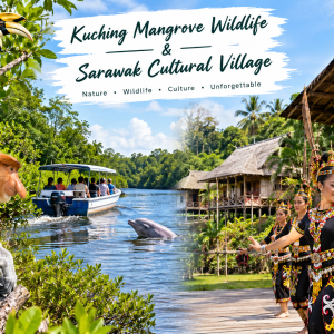 KUCHING MANGROVE WILDLIFE & SARAWAK CULTURAL VILLAGE EXPEDITION